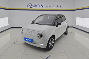 2021款 豪华型 351km